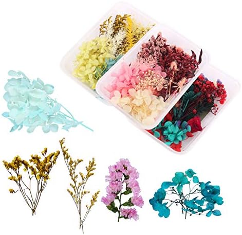 Запостави додатоци цвеќиња 3 пакувања исушен цвет вистински сушен цвет ливчиња цветни лисја DIY цветни украси занаетчиска смола епоксидна фото