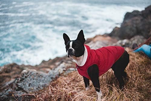 Куче руно худи, ветровидоф водоотпорен кучиња палто руно и памук наредени топло кучиња јакна, ладно време облека за миленичиња облека за облека