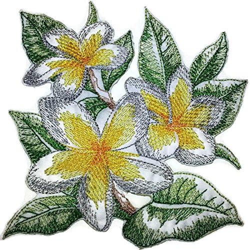 Скица за цвеќиња на обичај цвеќиња [скициран франгипани] везено железо на/шива лепенка [4.86 * 4.86] [Направено во САД]
