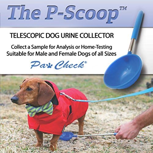 PawCheck P-Scoop Куче Урина Колектор-Еднократно И Телескопски Куче Урина Фаќач се протега на 29