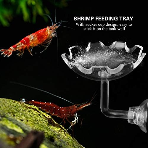 Чинија за хранење ракчиња отпорни на ракчиња, црв, безбеден аквариум ракчиња со акрилик направен