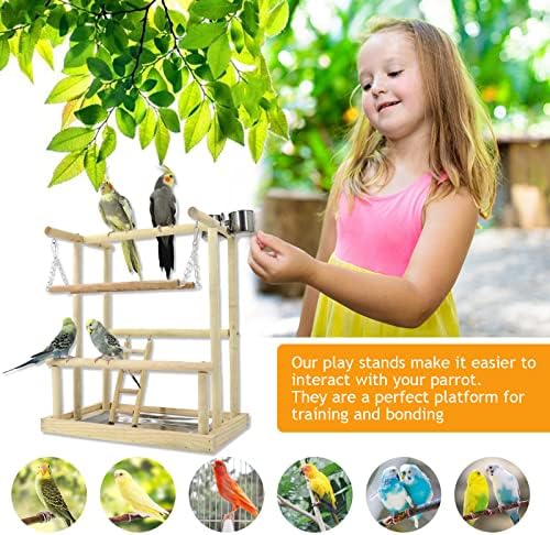 Gyonee Parrot Playstand Wood Play Gym, вклучуваат папагали со папагали од не'рѓосувачки челик, чинија за вода, лулање со птици, послужавник, послужавник,
