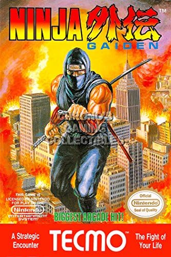 PrimePoster - Ninja Gaiden Box Art Poster Glossy Finish направен во САД - YNGN001