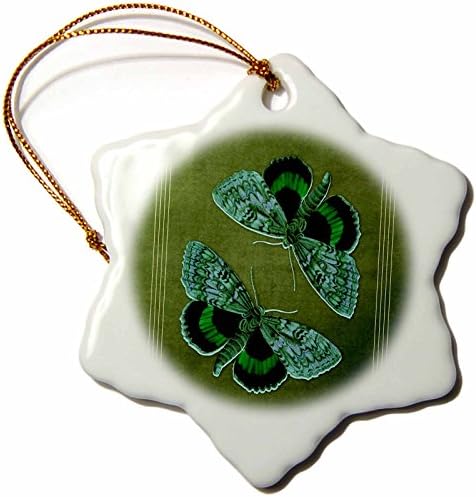 3drose зелени и тиркизни пеперутки на текстурирана зелена позадина. - украси