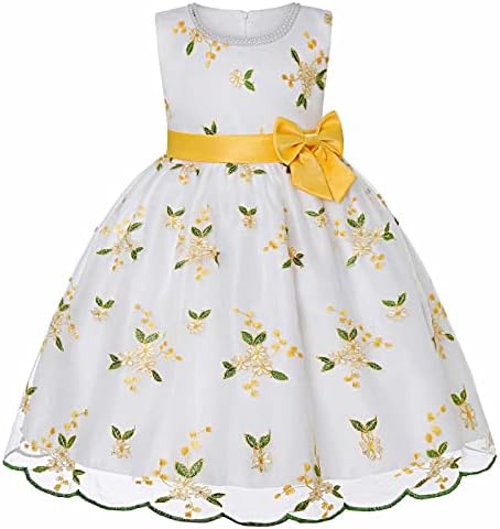 Везена фустан со фустан од куглање Меша принцеза Туту девојки се облекуваат мали девојчиња лето везена мрежа од 12 месеци девојка