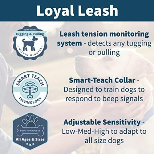 Лојален Поводник - Првиот Поводник За Обука На Кучиња во Светот, Без Јака За Влечење, Открива Влечење, Го Коригира Однесувањето, Сите