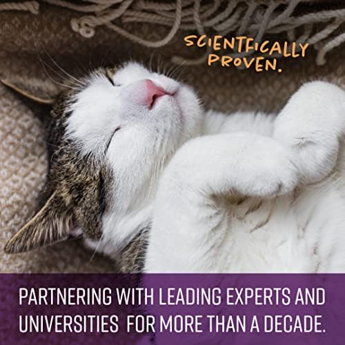 Сентир смирувачки џвакања за мачки, смирувачка помош докажана дека го намалува стресот и вознемиреноста, феромоните спречуваат несакани однесувања и ги поддржува