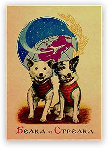 Xtvin Belka Strelka Советско вселенско куче гроздобер постер дома