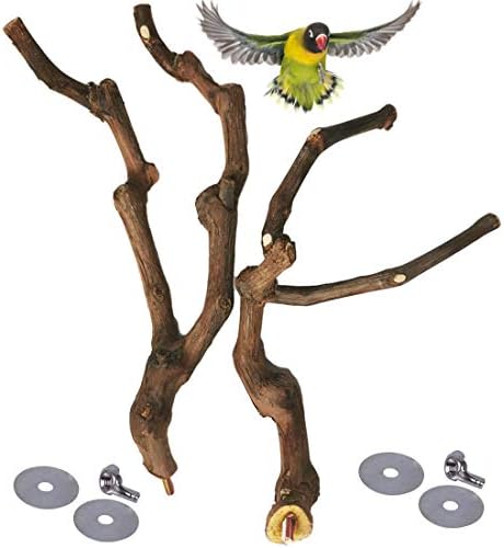 Катсон природен папагал перка Птица столб стол за диви грозје од грозје, мелење вилушка Паракета искачување на стојат гранки играчки играчки за џвакање кафез дода?