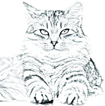 Уметност Куче Оод. Сибирска Мачка, Овален Надгробен Споменик Од Керамичка Плочка со Слика на мачка