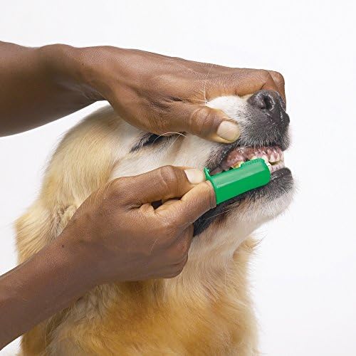 Врвни Перформанси Продентални Четки За Прсти-Удобни Четки За Заби За Чистење На Забите На Домашните Миленици, 50-Пакет