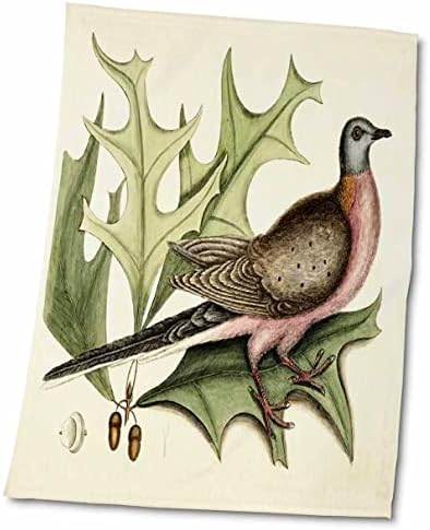 3DROSE ретко 1700 обоен цртеж на мала кафеава птица со лисја n бобинки - крпи