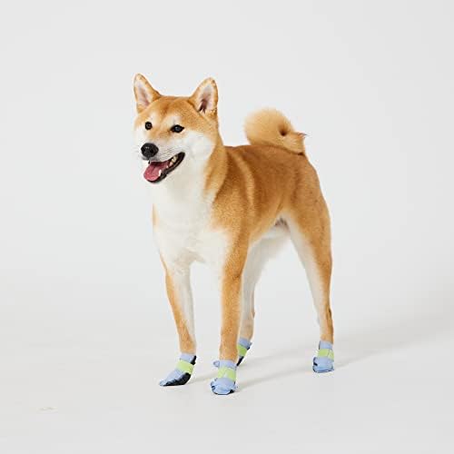 Заштита на чизми за кучиња Wickedpup за мали кучиња, 36CT | Заштита за еднократна употреба ПЕТ за обновување на рани | Кученце