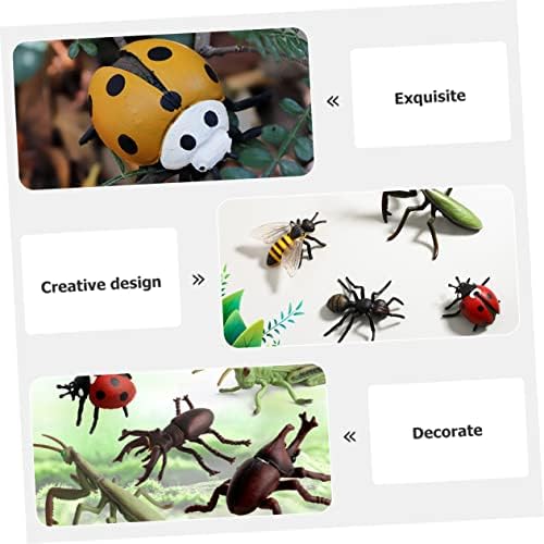 BESPORTBLE 1 Сет Когнитивен Модел Мали Животни Играчки Модел На Циклус На Раст За Деца Пластични Модели Животен Циклус Пластични Едукативни