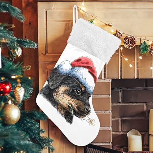 Алаза Божиќни чорапи Ротвејлер со Дедо Мраз Клаус Класик Персонализирани големи декорации за порибување за семејни празнични сезони за забави