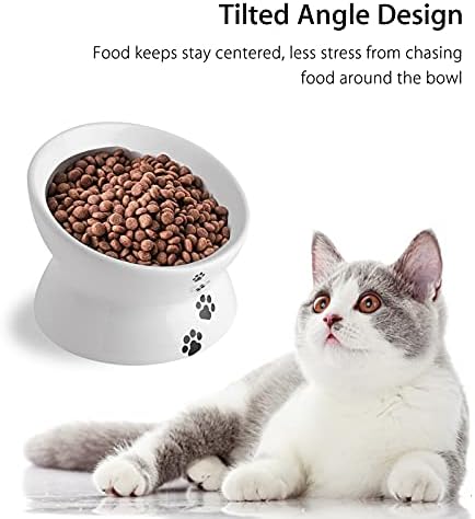 Чадови за храна со мачки, 10 мл покачени чинии за мачки за мачки и мали кучиња, навалена сад за миленичиња за миленичиња со подигнат штанд