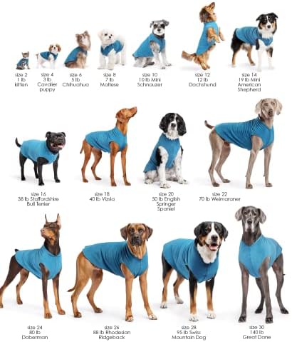 Златен шепа дулут двојно руно палто за кучиња-мека, топла облека за кучиња, 4-насочен џемпер за миленичиња за миленичиња-машина што се мие, се-сезона,