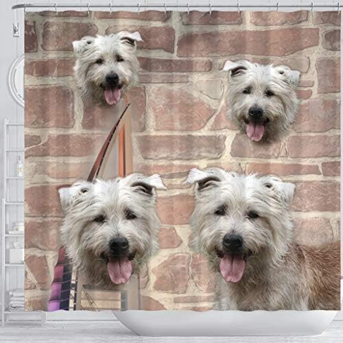 Pawlice Прекрасна Глен од Imaal Terrier Print Toush Cuter