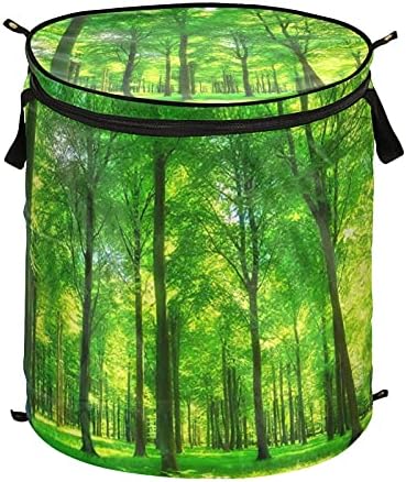 Зелено шумско дрво се појавува алишта за перење алишта со капакот за складирање на капакот за складирање на капакот за хотелска бања за