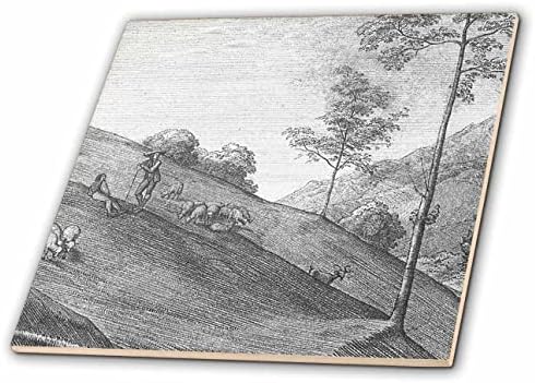 3дроза Гроздобер Уметност Овчар Овци И Кози на страната на Ридот Јагниња За Одгледување Животни-Плочки