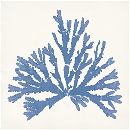 Трговска марка ликовна уметност „Пацифичко море мовс IV светло сина„ платно уметност од портфолио на диви јаболка 24х24