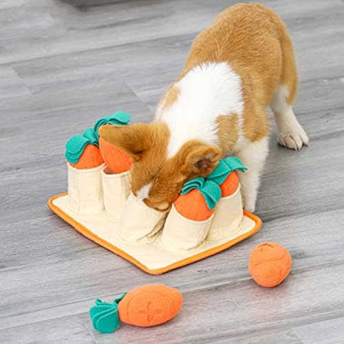 Меиџием Куче Играчки За Мали Средни Кучиња, 2 Писклив Моркови Пополнува