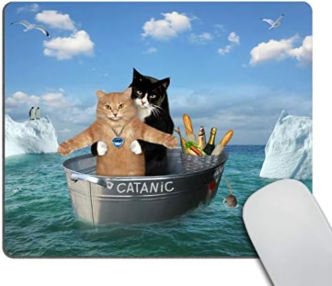 Непречено Смешна подлога За Глушец За Мачки, Двете Храбри Мачки Лебдат Во Челичната Када Меѓу сантата мраз во подлогата за морски