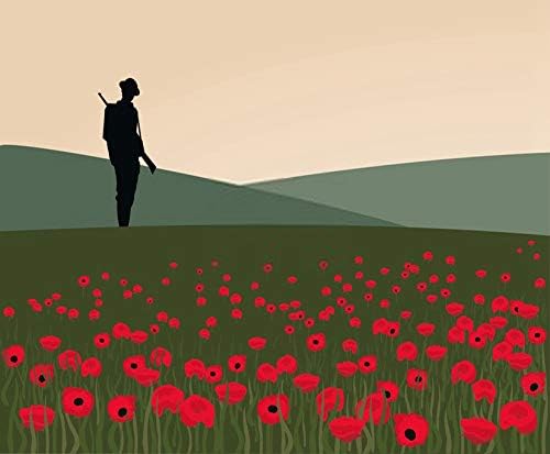 DIY 5D сликарство за нумерирање на војникот осамен афион поле Фландрија Воен конфликт Армистик сеќавање 12 x 16 Возрасен растоничен крст на