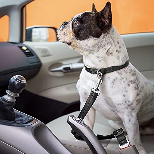 Безбедносен Појас За Кучиња Со Еластичен Тампон За Банџи | Додатоци За Патување Со Автомобил За Кучиња Прилагодливи, Еластични