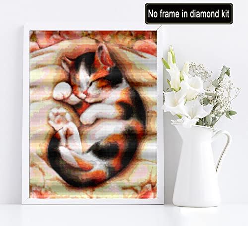 Diymood 5d Diamond Painting по бројни комплети за возрасни, дијамантска сликарство на мачката боја со дијаманти уметност целосна