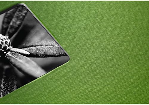 Албум со фотографии со ликовна уметност во Хама, 24 х 17 см, јаболко зелено, 50 црни страници, 24 х 17 см