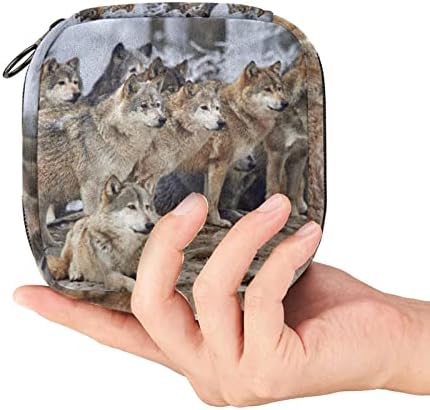 Преносна санитарна торба за чување на салфетка, торба за жени за жени салфетка, зимска шема волк и снег