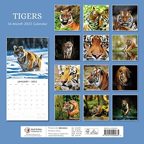 2023 Тигри Месечен Ѕиден Календар По Црвени Календари На Робин 12 х 12
