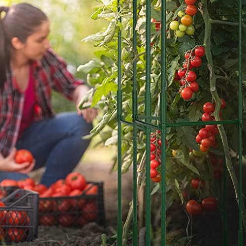 Кафез на домати на Наорвои - Премиум домати засади заложби за поддршка на кафези за градина за градина и садови ， мултифункционално качување на