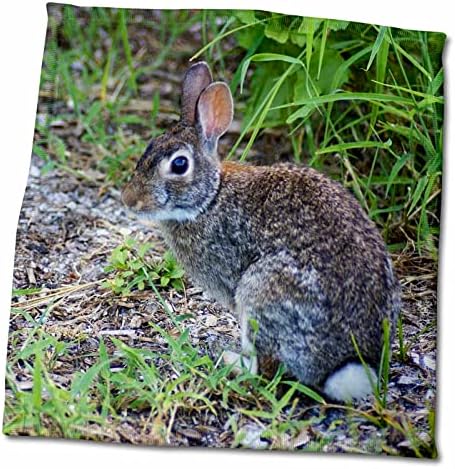 3дорозни животни од флорен - Боби зајаче - крпи