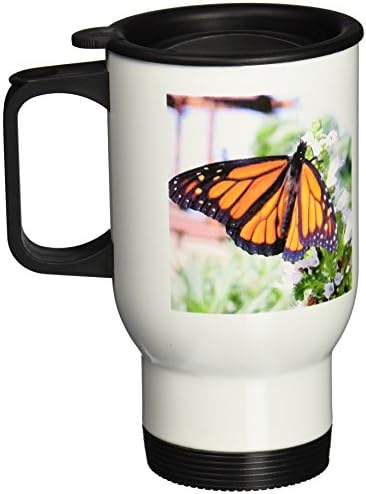 3дроза Монарх Пеперутка Патување Кригла, 14-Унца, Нерѓосувачки Челик
