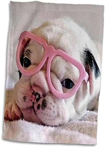 3drose Флорен куче - кученце со очила - крпи