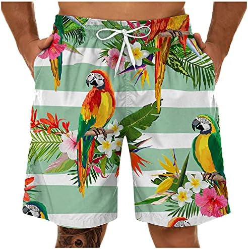 Шорцеви за летни табли за мажи HDDK плус големина, 3Д бран тропски печатени стебла за пливање, лабави обични шорцеви на плажа на Хавајски