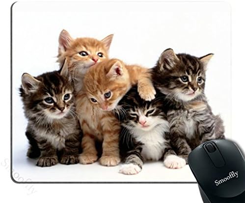 Smooffly мачки подлога за глувци за компјутери, мачиња мачки мачки подлога за глувци