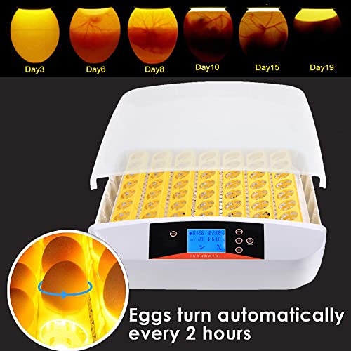 Инкубатор за јајца, Инкубатор За Јајца За Ведење Автоматска Дигитална Машина За Шрафирање Живина Со Автоматско Вртење Јајца, За
