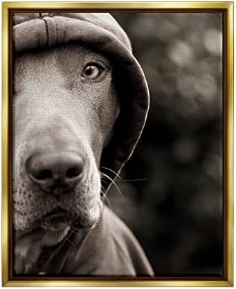 Куче „Ступел индустрии“, облечена во џемпер со качулка, монохроматска фотографија, дизајн од Мајкл Брајан