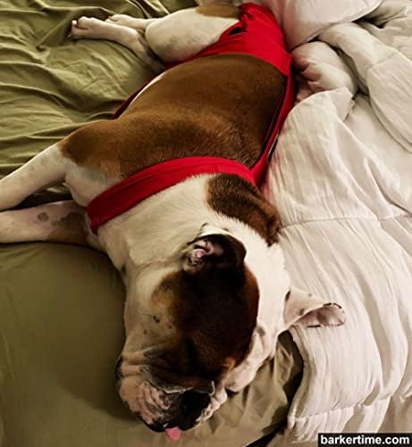 Barkertime Цреша Црвена Бегство-Доказ Премија Водоотпорен Куче Пелена Целокупната, S, Со Опашка Дупка-Направени ВО САД