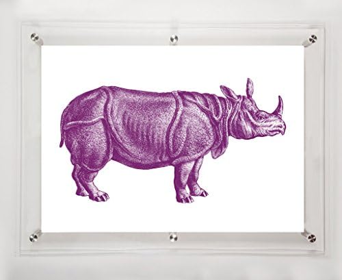 Виолетова носорог, 25, 5х31, 5ин.