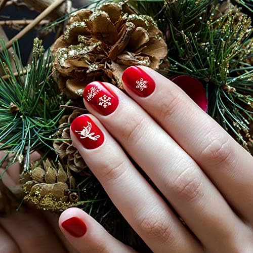 Solustre Nail Polish Set Зимски комплети 6PCS Christmas Nail Stamper Kit XMAS Art Pamping со Божиќен лист снегулка слика за слика за слика