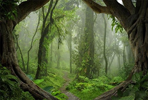 Аофото 10х7фт Шума Позадина Тропска Џунгла Дождовни Шуми Позадини За Фотографија Бајка Маглива Длабоко Зелени Дрвја Патека Позадина Предградија