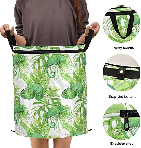 Зелените лисја од камелеон се појавуваат со алишта за алишта со капакот за складирање на капакот, склопувачка торба за перење