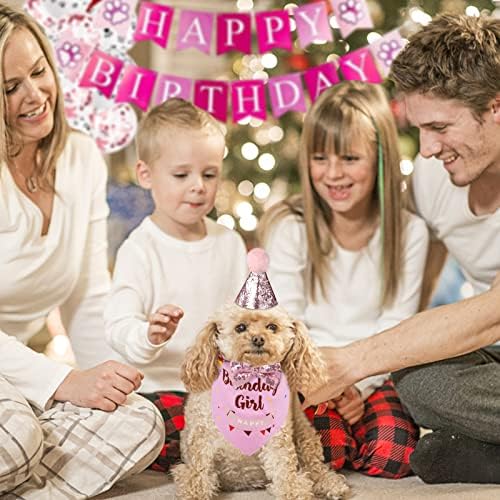 Управил за роденденска забава за кучиња Guoyihua, шамија за роденден на кучиња, шамија за роденденска забава со кучиња, капа за роденденска