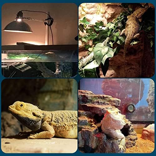 Hanjion 50w uva reptile infrared basking spot ламба, меки светло -светло -светло -топлини, сијалички за топлина, бело стаклени топлински