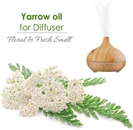 Yarrow есенцијално масло чисто и природно - неразредено неразвиено премиум масло -терапевтско одделение - употреба за ароматерапија)
