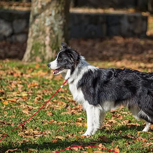 Кабел За Врзување кучиња-Поводник За Кучиња 50 Стапки Доказ За Џвакање За Обука На Отворено Тежок Кабел За Врзување За Средно